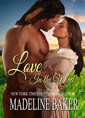 Love in the Wind book cover