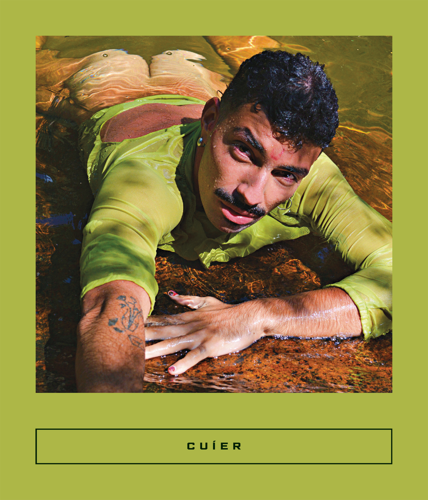 Calico Series book cover 1