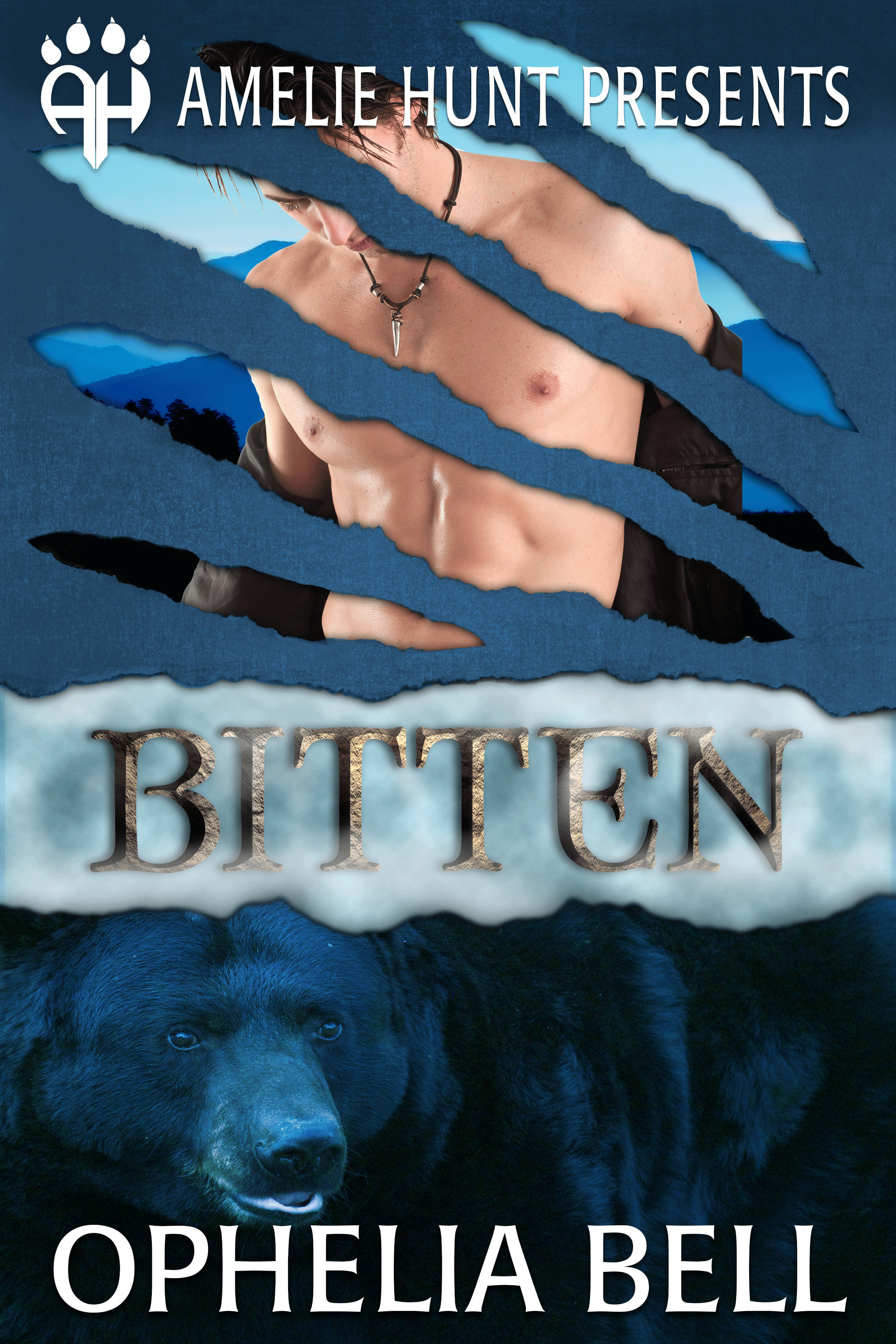 Black Mountain Bears book cover 2