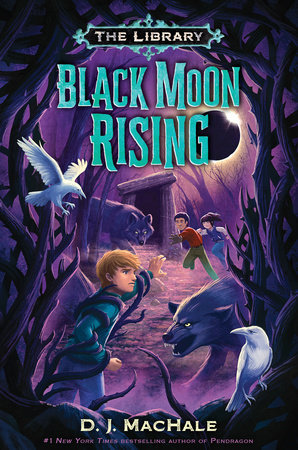 The Library book cover 2