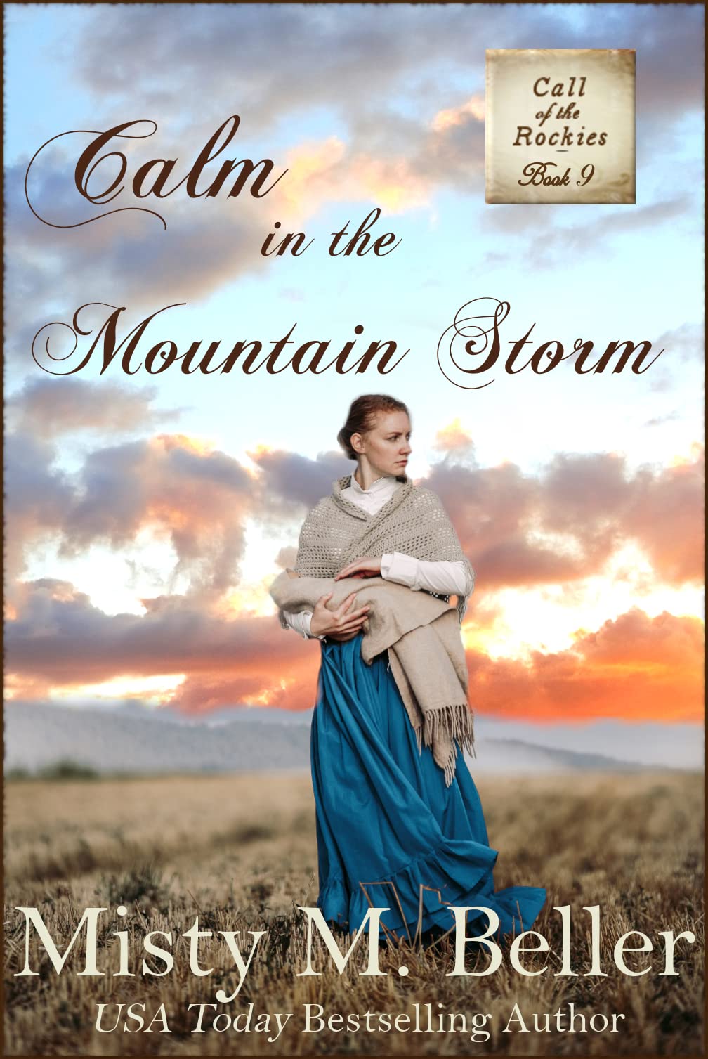 Calm in the Mountain Storm book cover