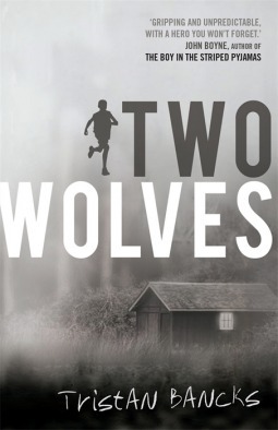 Two Wolves book cover