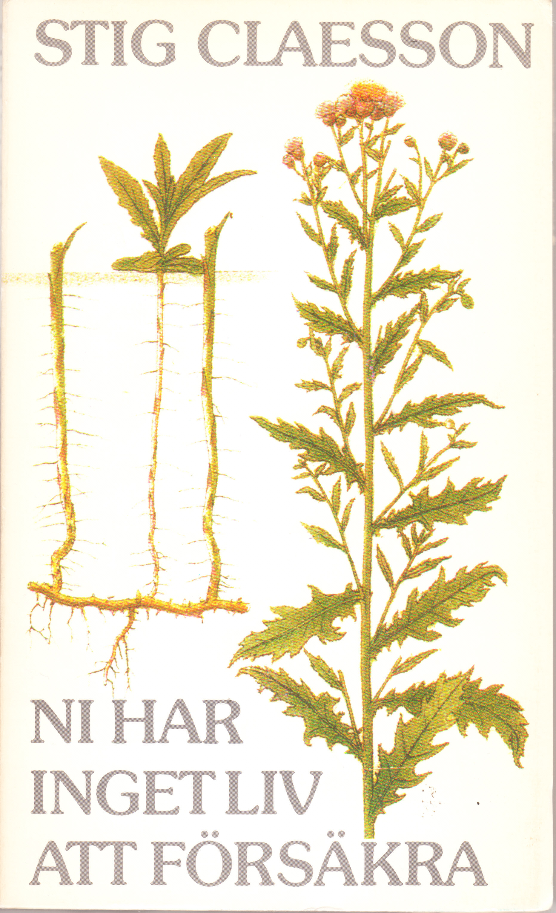 Ni har inget liv att försäkra book cover