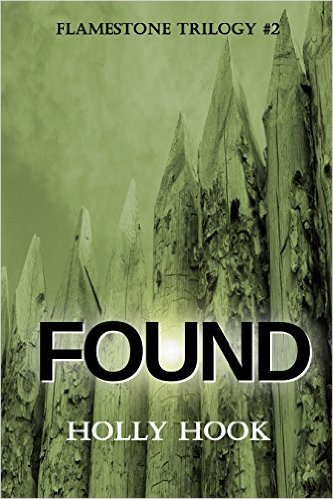 Found book cover