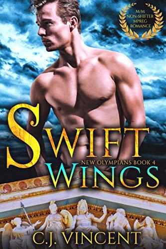 Swift Wings book cover