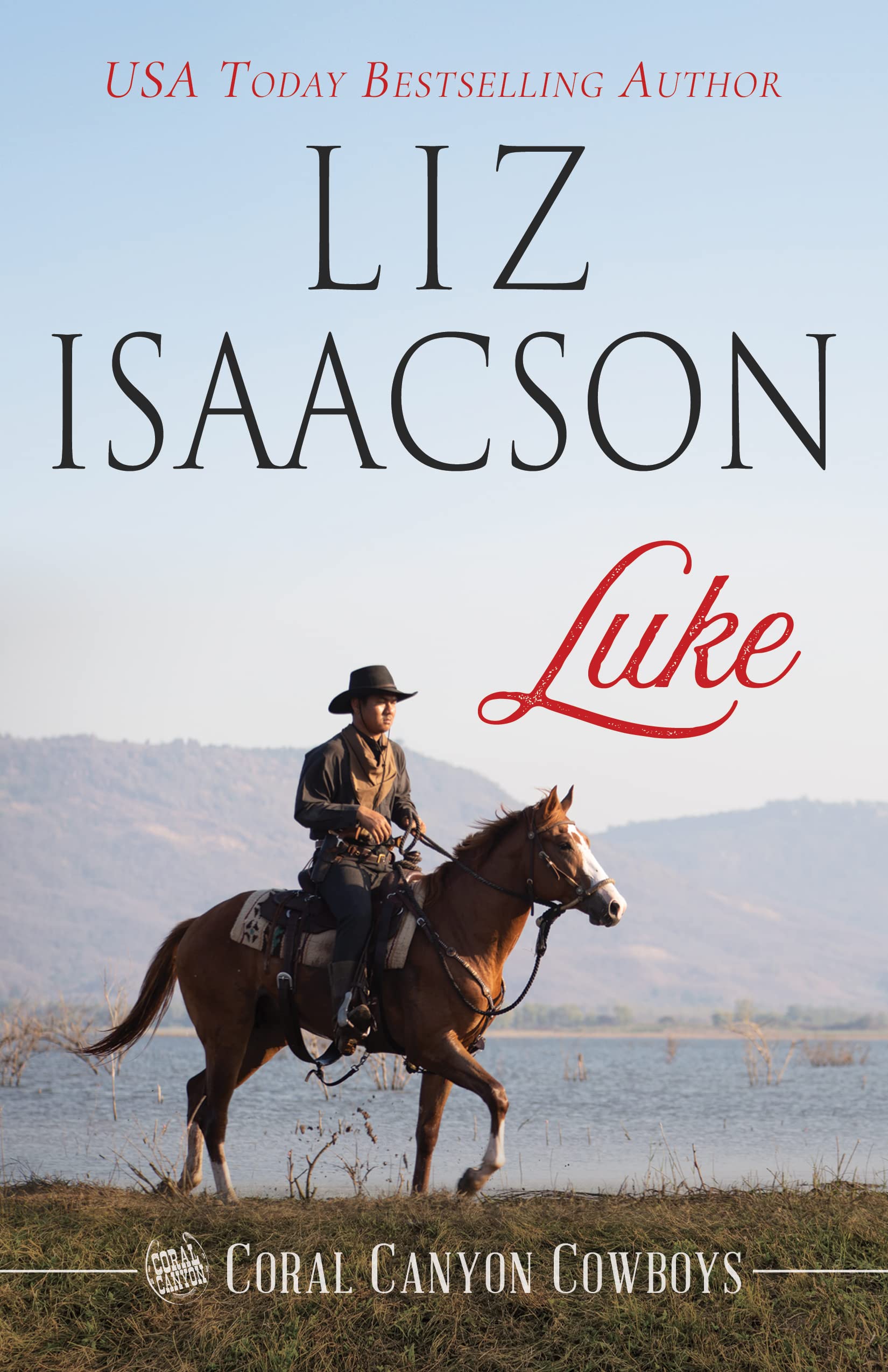Luke book cover