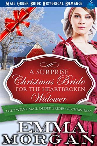 The Twelve Mail Order Brides ofChristmas book cover 1