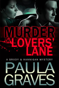 Brody & Hannigan Mysteries book cover 1