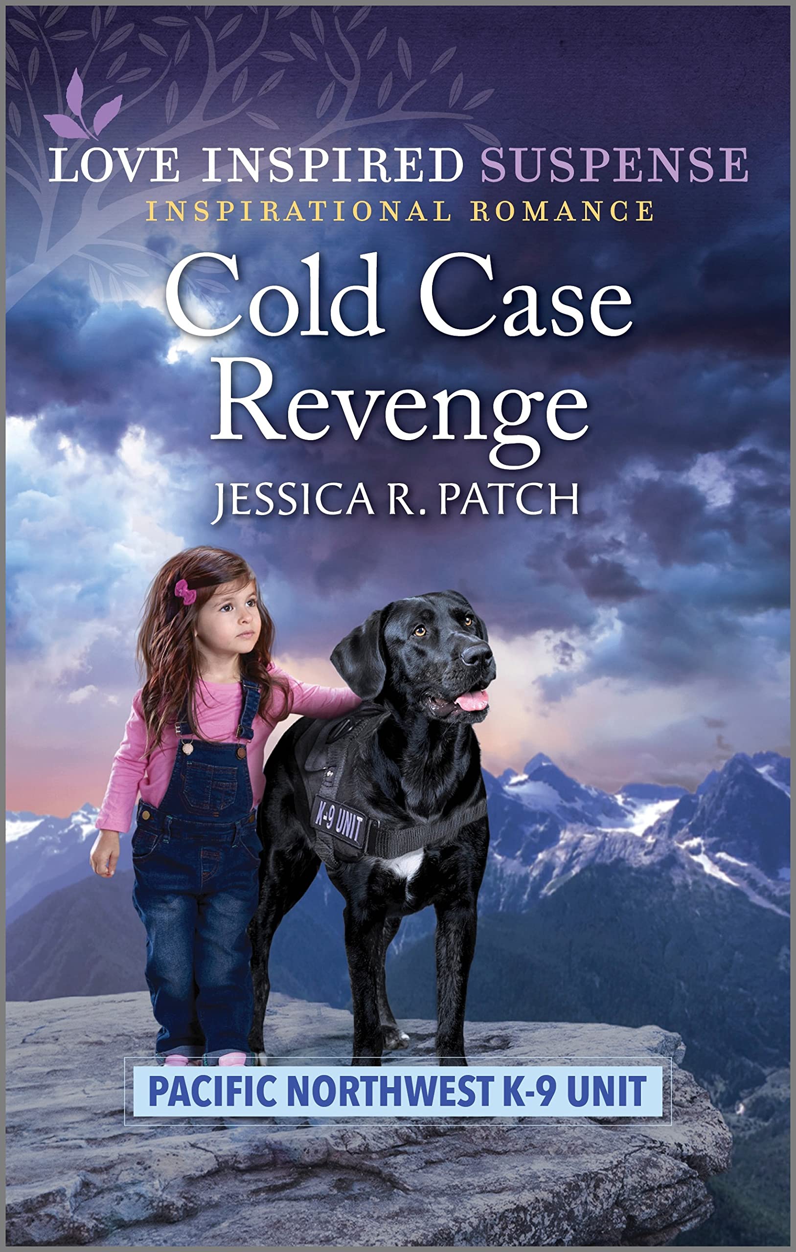 Cold Case Revenge book cover