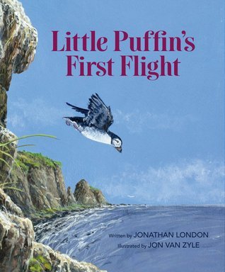 Little Puffin's First Flight book cover