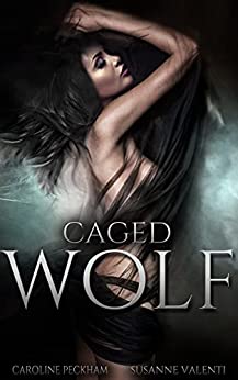 Darkmore Penitentiary book cover 1