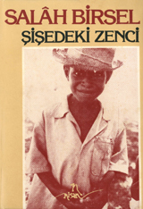 Şişedeki Zenci book cover