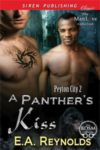 Peyton City book cover 2