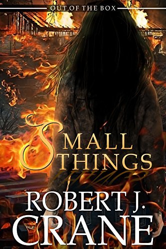 Small Things book cover