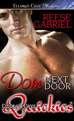Dom Next Door book cover