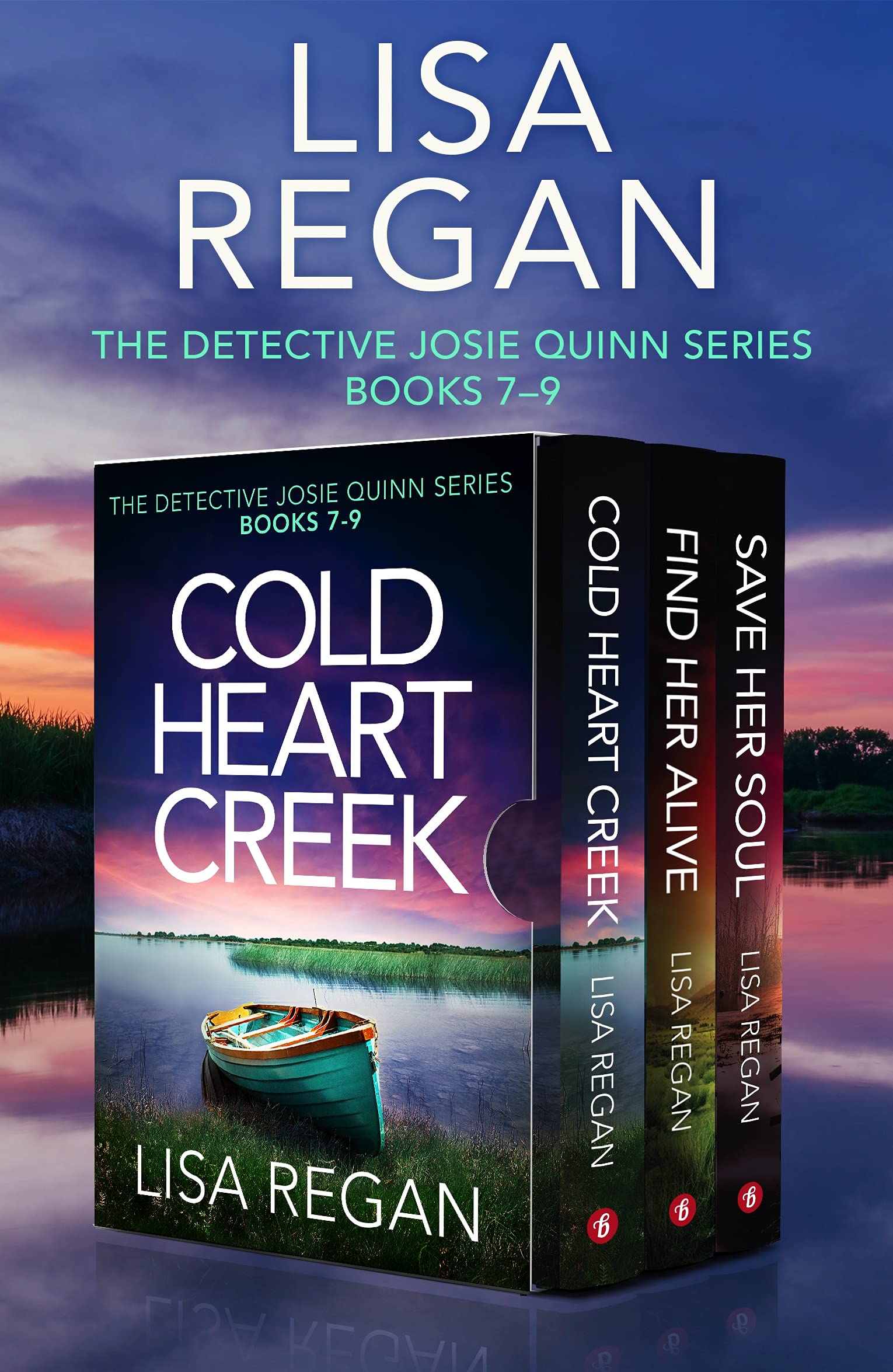 The Detective Josie Quinn Series book cover