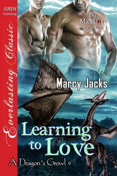 Learning to Love book cover