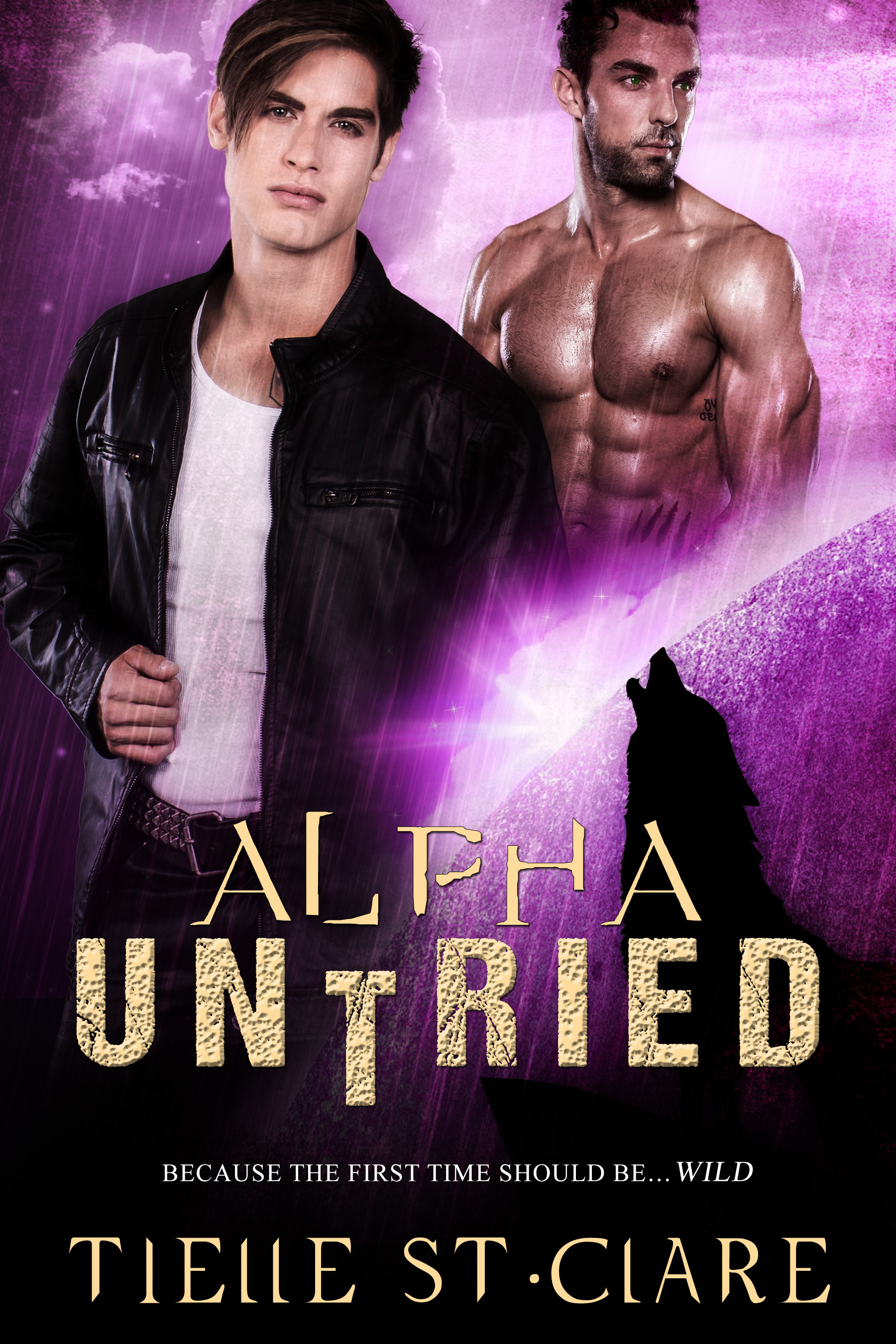 Alpha Untried book cover