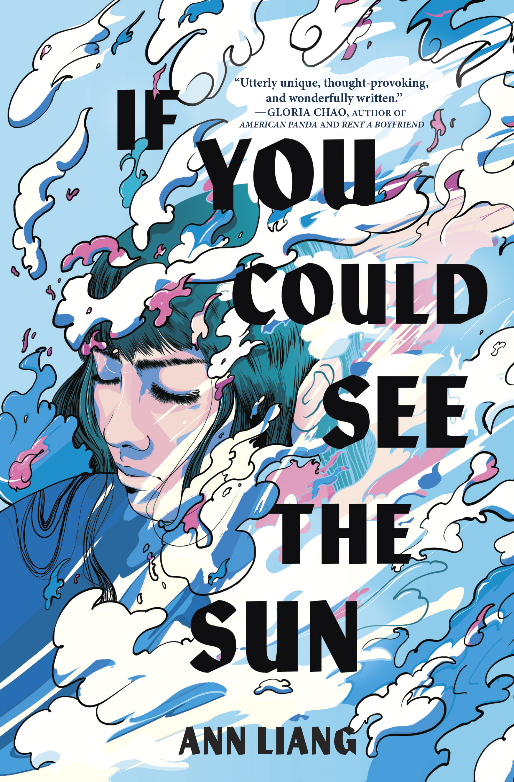 If You Could See the Sun book cover