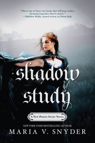 Soulfinders book cover 1