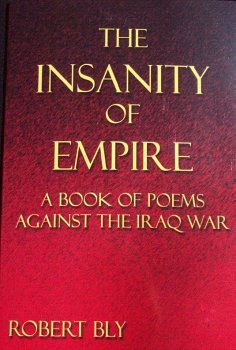 The Insanity of Empire book cover