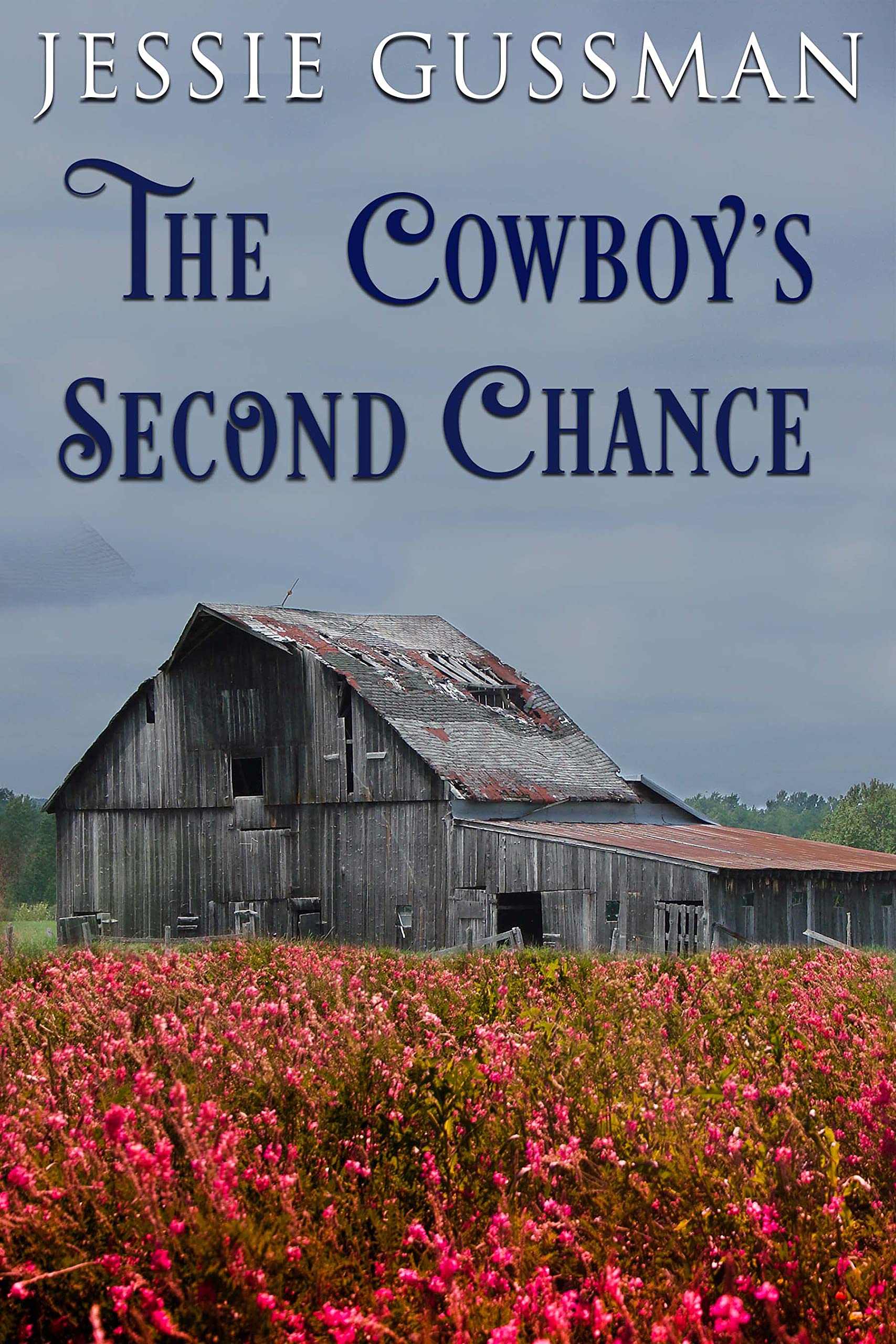 The Cowboy's Second Chance book cover