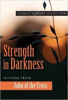 Strength in Darkness book cover