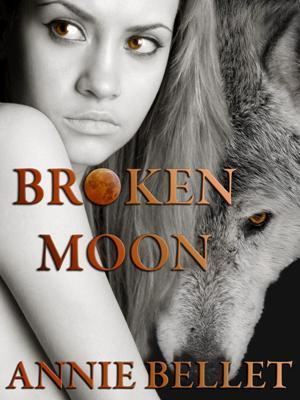 Broken Moon book cover