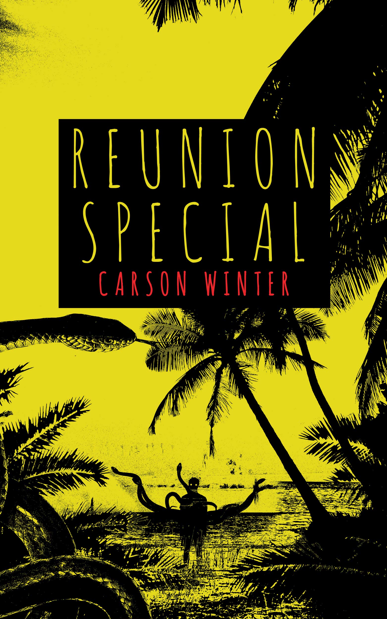 Reunion Special book cover