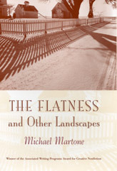 The Flatness and Other Landscapes book cover
