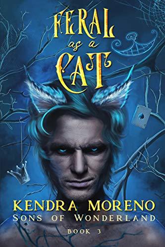 Sons of Wonderland book cover 3