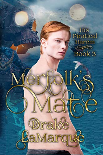 His Piratical Harem book cover 3