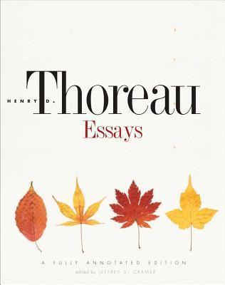 Essays book cover
