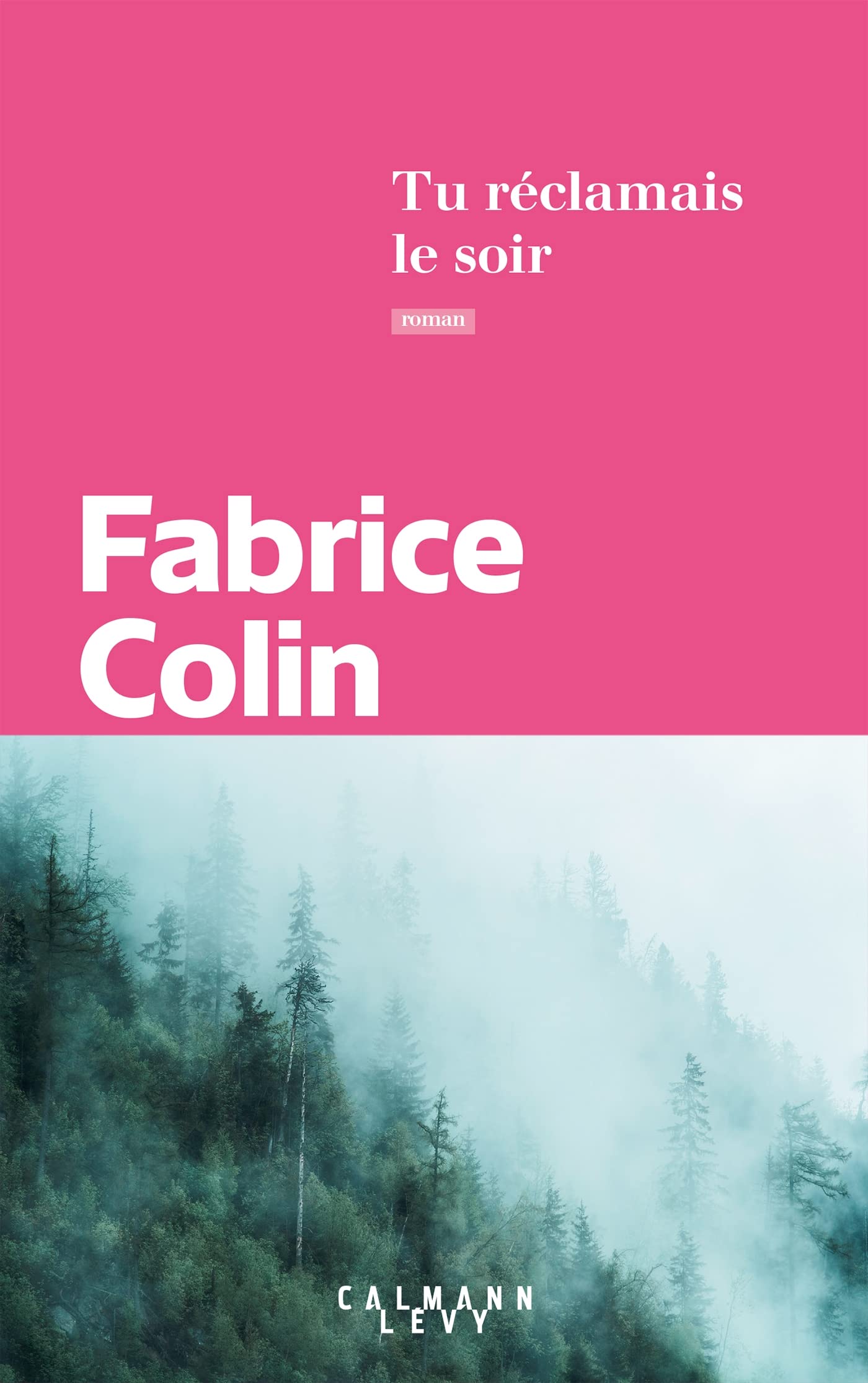 Tu réclamais le soir book cover