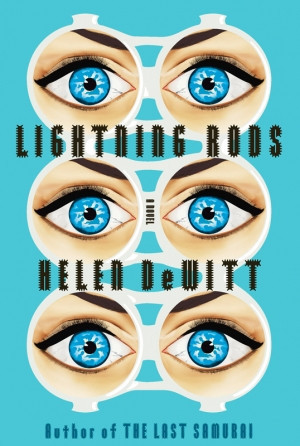 Lightning Rods book cover
