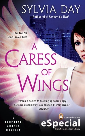 A Caress of Wings book cover