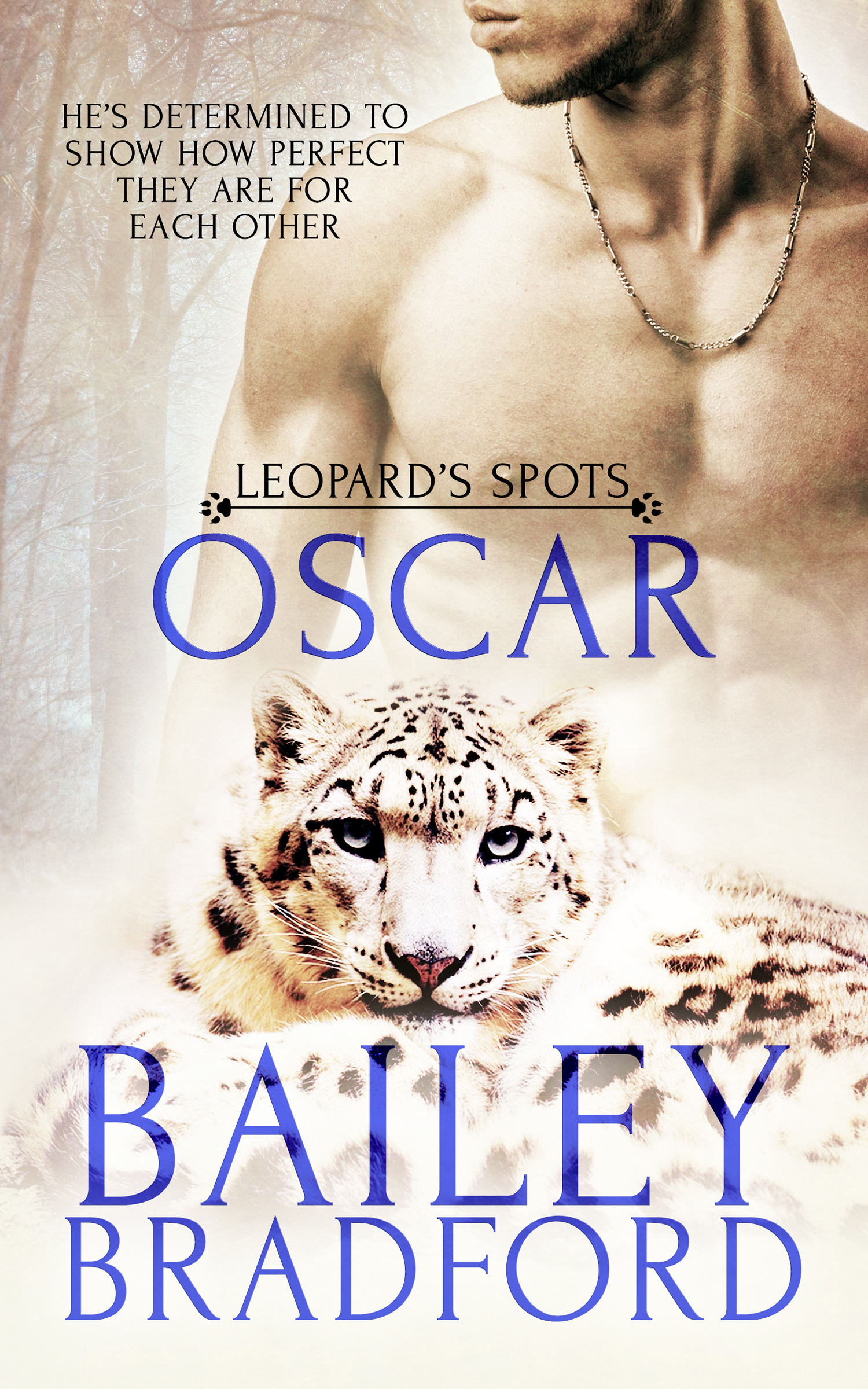 Leopard's Spots book cover 2