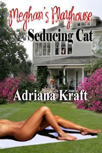 Meghan's Playhouse book cover 1