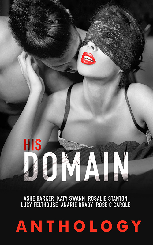 His Domain book cover