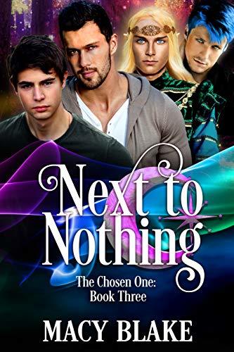 Next to Nothing book cover