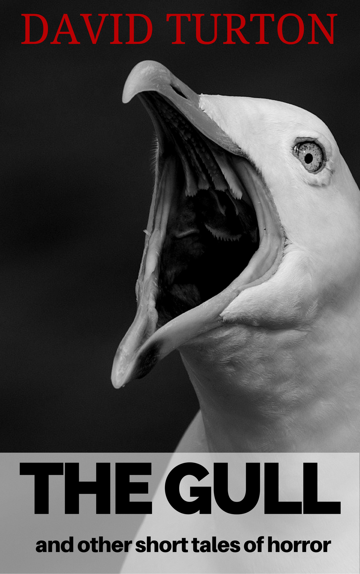 The Gull and Other Short Tales of Horror book cover