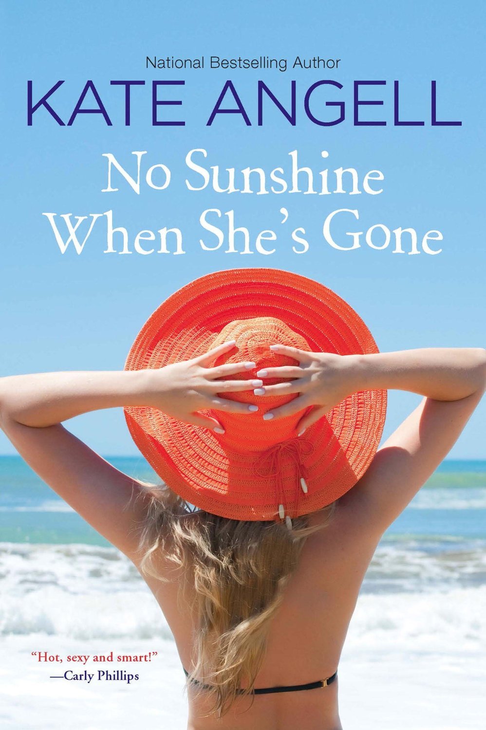Barefoot William Beach book cover 3