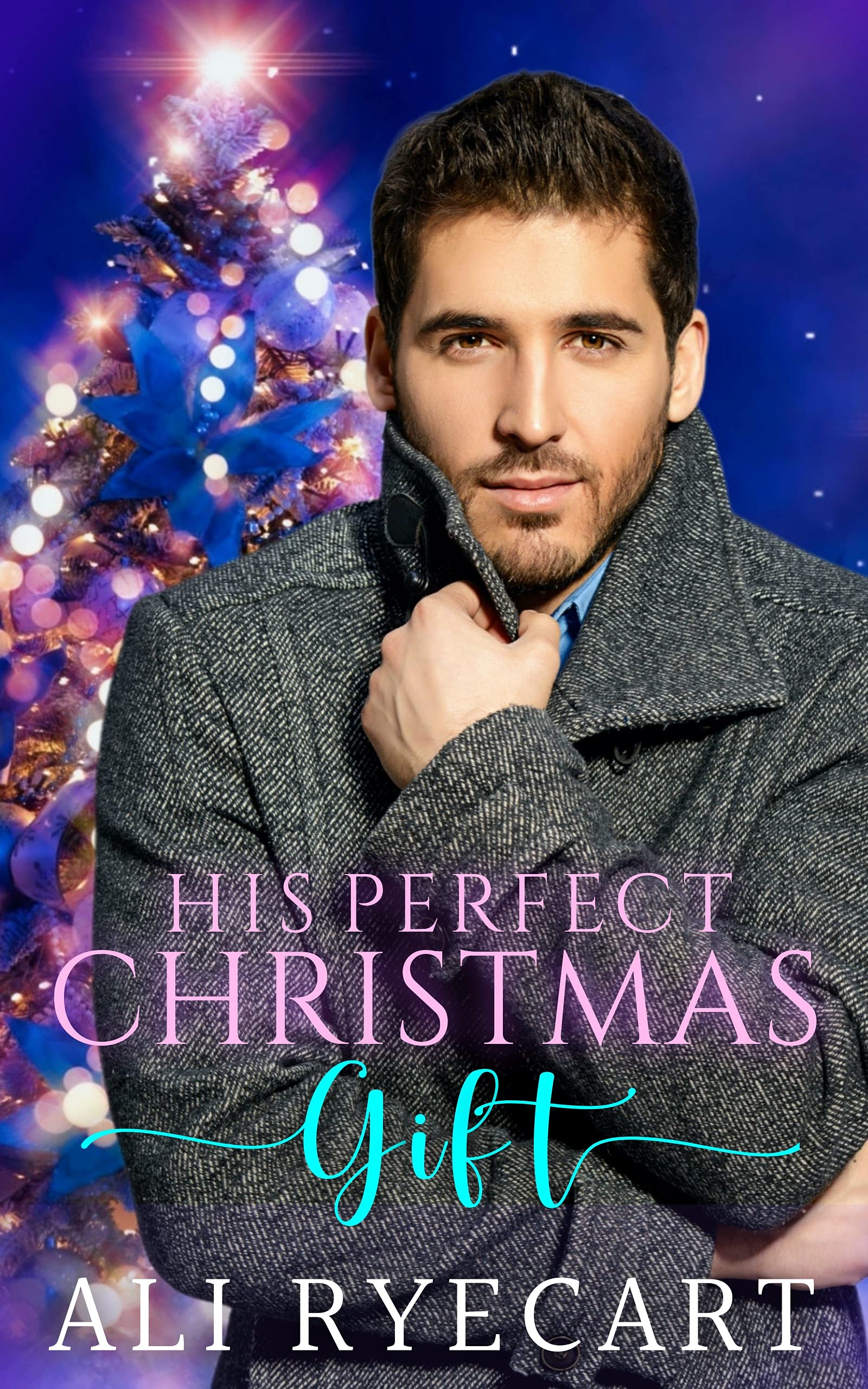 His Perfect Christmas Gift book cover