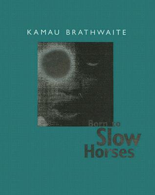 Born to Slow Horses book cover