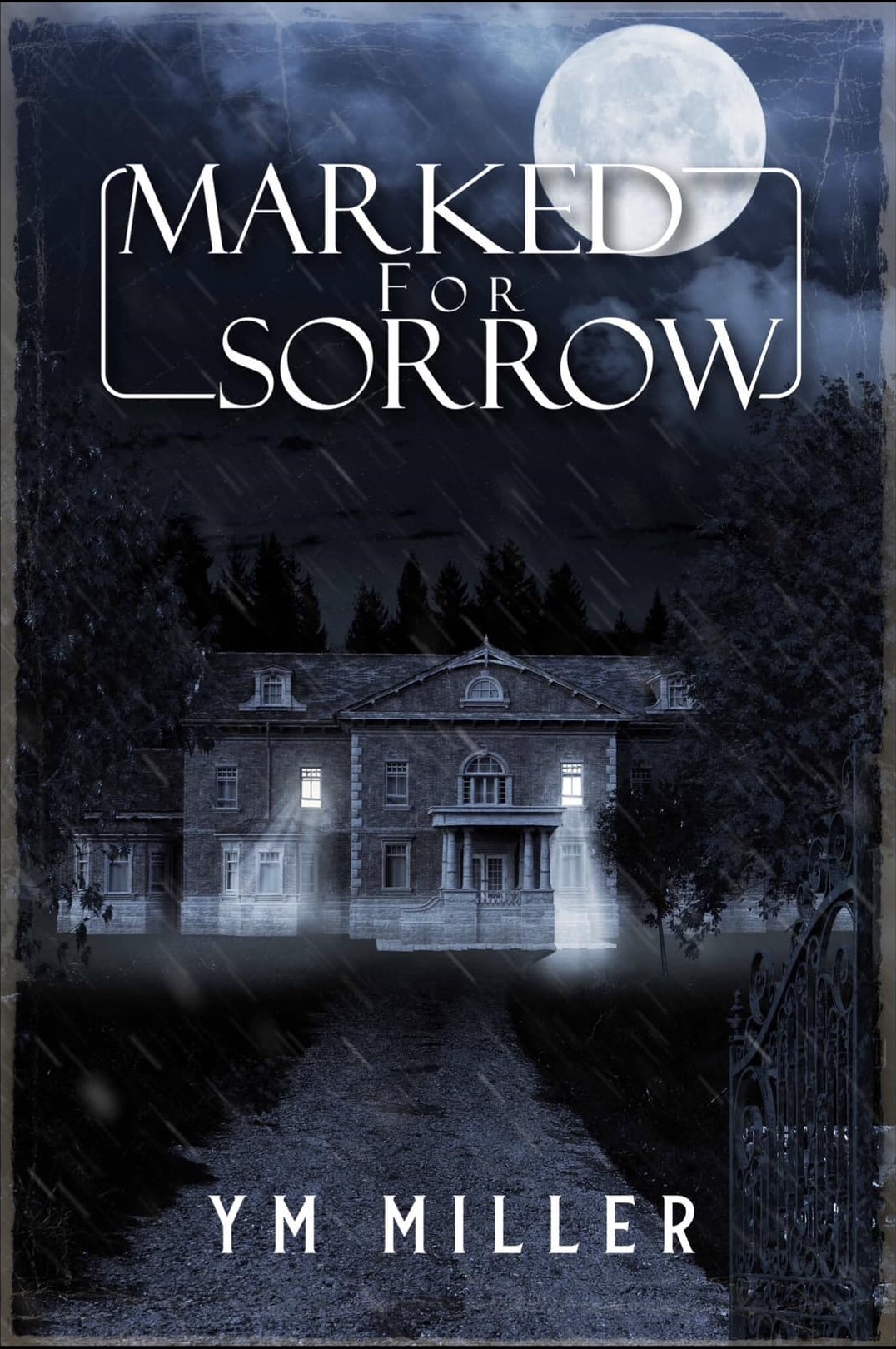 Marked For Sorrow book cover