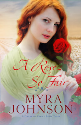 A Rose So Fair book cover