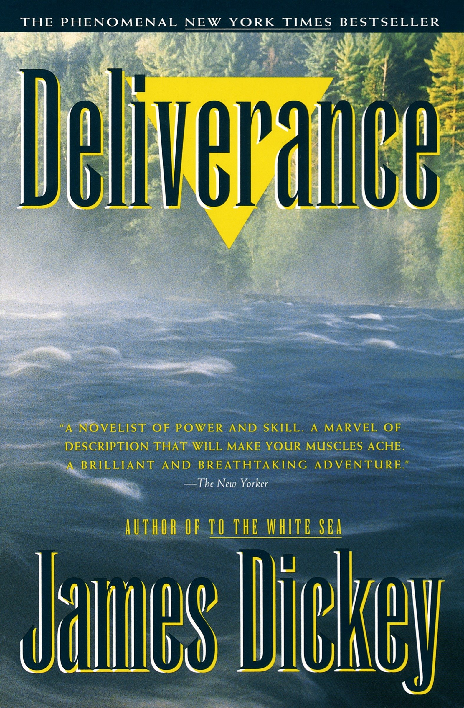 Deliverance book cover