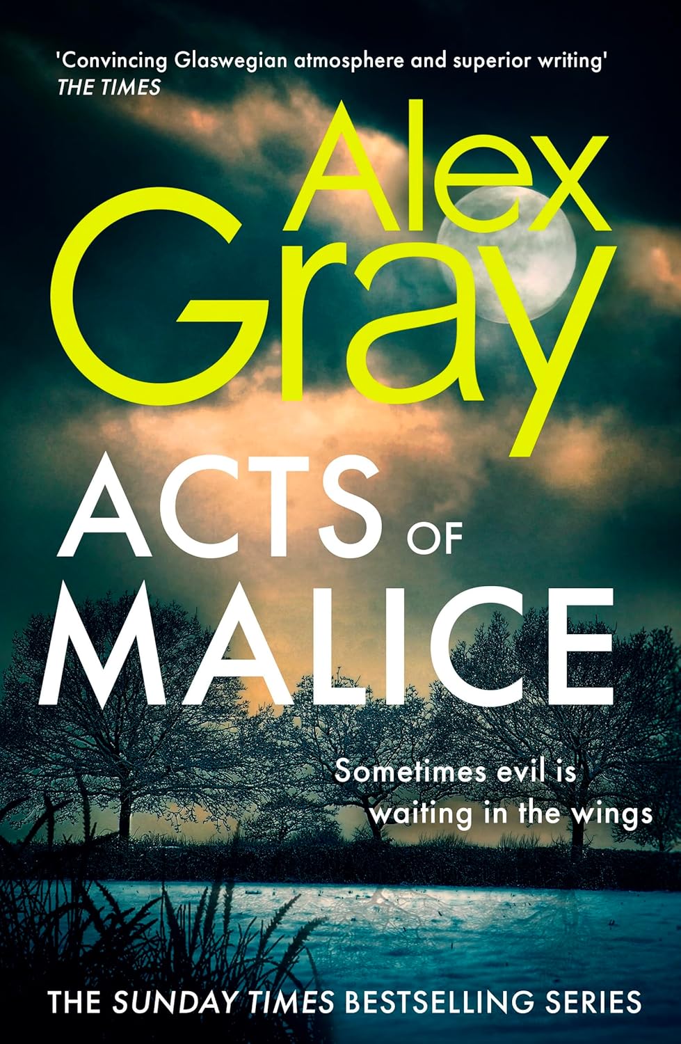 Acts of Malice book cover