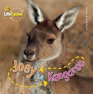 Joey to Kangaroo book cover
