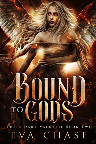 Their Dark Valkyrie book cover 2